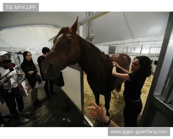 ng真人视讯让您随时随地畅玩精彩现场娱乐体验无拘无束的快乐时光 ng真人视讯让您随时随地畅玩精彩现场娱乐体验无拘无束的快乐时光